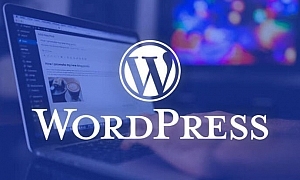 WordPress自动内链标签及自动内链关键字 WP优化教程