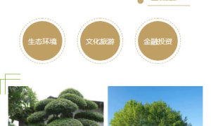 黄色建筑设计网站源码 织梦dedecms模板 [自适应手机版]
