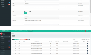 【白色新版币圈】最新完美运行美元币圈+安装教程+[已接支付]