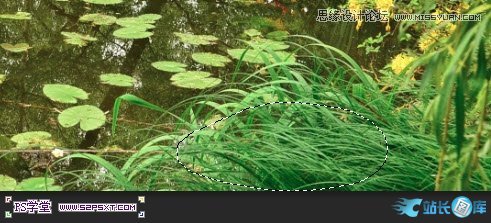 Photoshop制作树木图案立体字教程插图(19)
