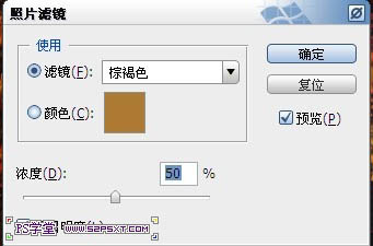 利用画笔及描边路径制作漂亮的金色树叶字插图(23)