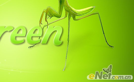 PhotoShop制作一款简单的螳螂绿色文字主题壁纸插图(13)