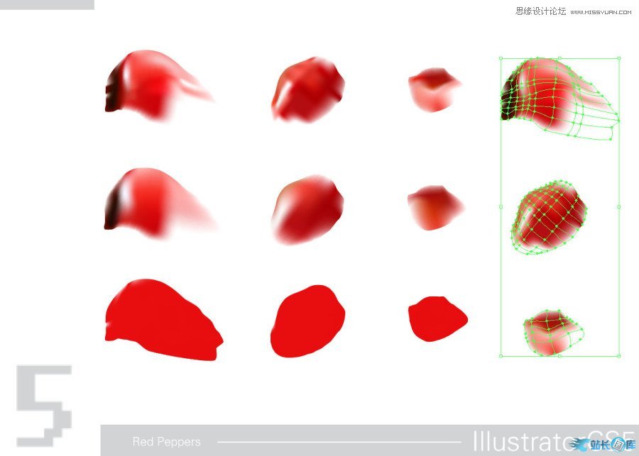 Illustrator CS5绘制逼真的红辣椒教程插图(5)