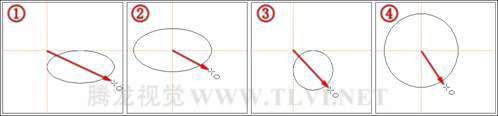 使用CorelDRAW绘制椭圆和圆形插图(3)