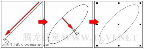 使用CorelDRAW绘制椭圆和圆形插图(12)