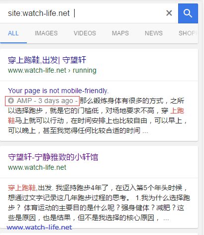 如何让WordPress支持google AMP插图(3)