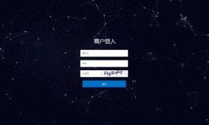 手工代付系统/api代付系统/代付系统源码[仅供学习研究使用]