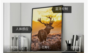 VIP商用 艺术品交易手机商城个人主页模板