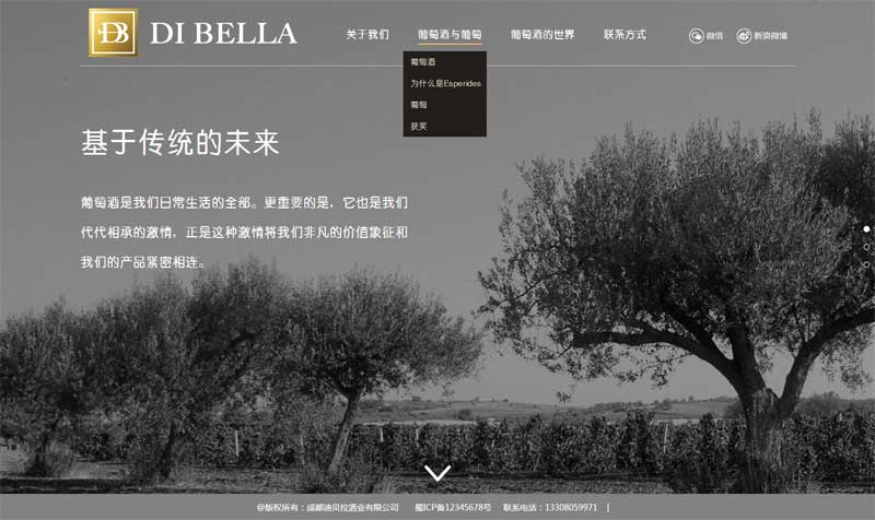 大气的迪贝拉葡萄酒官网html5模板_html单页模板插图