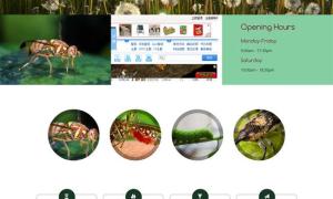 害虫动物HTML5网站模板