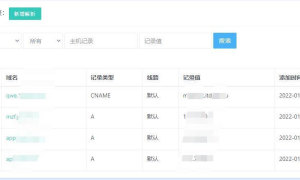 PHP开发的二级域名分发系统源码 已对接易支付
