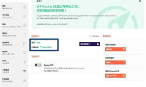 WP Rocket 3.10.1 源码去广告已授权 安装即为增强版
