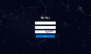 【某站卖3888元】手工代付系统/api代付系统/代付系统源码[仅供学习研究使用]