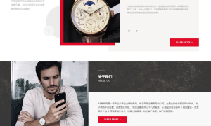 黑色手表首饰网站源码 织梦dedecms模板 [自适应手机版]