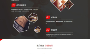 红色健身网站源码 织梦dede模板 [带手机版数据同步]
