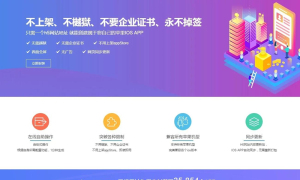 【独家发布】亲测最新带免签封装的分发系统源码/带文字安装说明