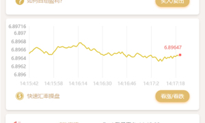 【白色新版币圈】最新完美运行美元币圈源码+安装教程+[已接支付]