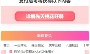 测桃花运网站系统源码/完美对接支付结算