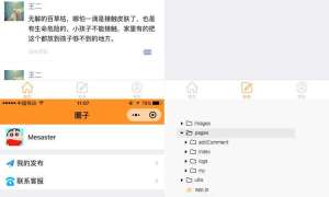 【小程序模板】功能模块+微信社交圈子小程序前端模板+社交评论+社交信息交换应用小程序源码