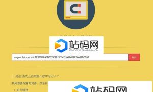 在线磁力链接种子文件边下边播网站源码_源码下载