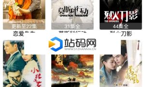 简看视频app源码 VIP视频解析E4A源码 带类库可直接编译_源码下载