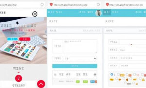 PHP星梦授权系统6.0源码 全解密无后门