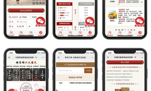 2020赚钱新项目在线付费起名源码/宝宝起名/八字起名/周易取名/周易八字起名平台网站