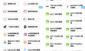【IAPP源码】功能挺多的网站荧惑渗透源码